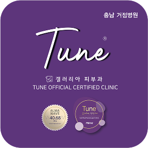 악센트 프라임 인증2