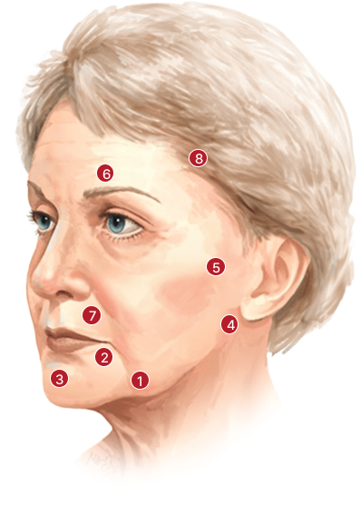노화와 관련된 요소