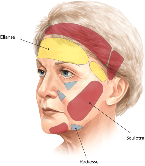 구조에서 시작되는 안티에이징