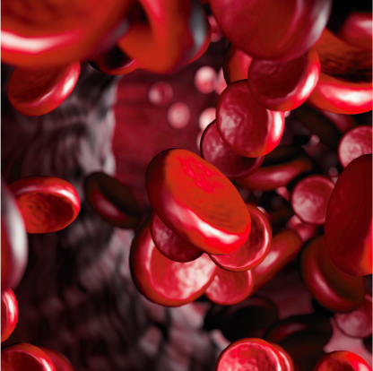 시술 전후 순환 관리